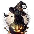 thumbnail image 1 of 5D DIY Kit Gato Halloween Del 40x50cm, 1 of 9
