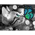 thumbnail image 1 of Gato Diamante Pintura Mariposa Gato Diamante Arte Lindo Animal Gatito Diamante Pintura Para Adultos Niños 12x16 Pulgadas, 1 of 1