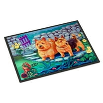 Carolines Treasures 7520JMAT Norwich Terrier Doormat 24x36 36"L x 24"W multicolor