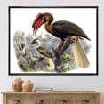 thumbnail image 2 of Ancient Australian Birds XI 32 in x 16 in Framed Painting Canvas Art Print, by Designart, 2 of 5