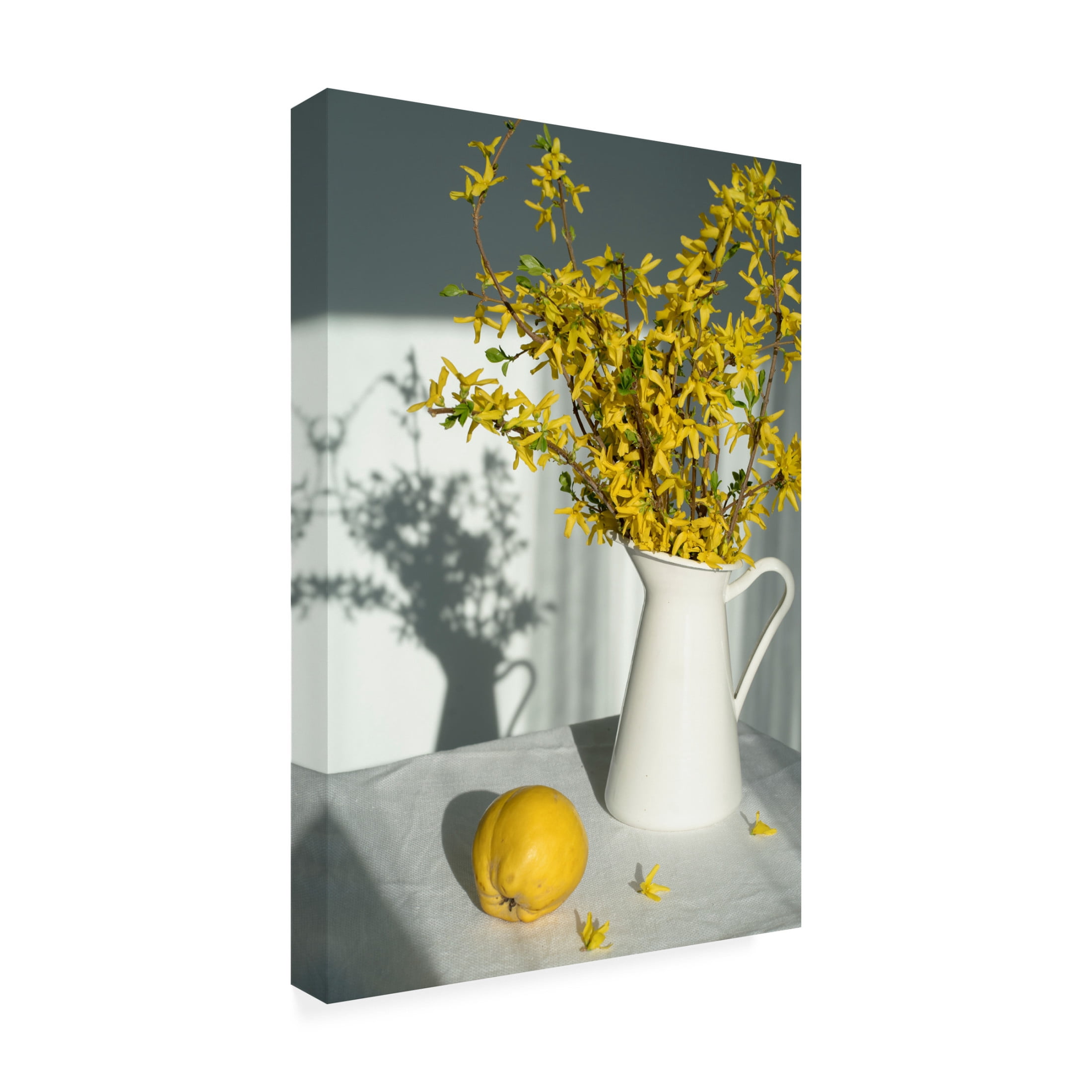 Trademark Fine Art Larisa Usmanova Still Canvas Wall Art