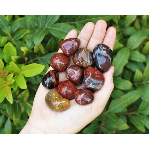 1/4 lb Bulk Lot Petrified Wood Tumbled Stone: Crystal Healing Tumble 4 oz