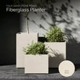 thumbnail image 4 of COSAPOTS Reglito Tall Square Planter – Fiberglass Indoor/Outdoor and Weather-Resistant Large Planter (19.7" L x 19.7" W x 31.5" H Exterior, 19.3" L x 19.3" W Interior) (Sand Stone), 4 of 8