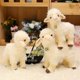 thumbnail image 3 of Kawaii Little Lamb Plush Dolls Lovely Animal Sheep Plush Toys Cute Bell Alpaca Toys High Quality Toy For Children Girls Gifts, 3 of 4