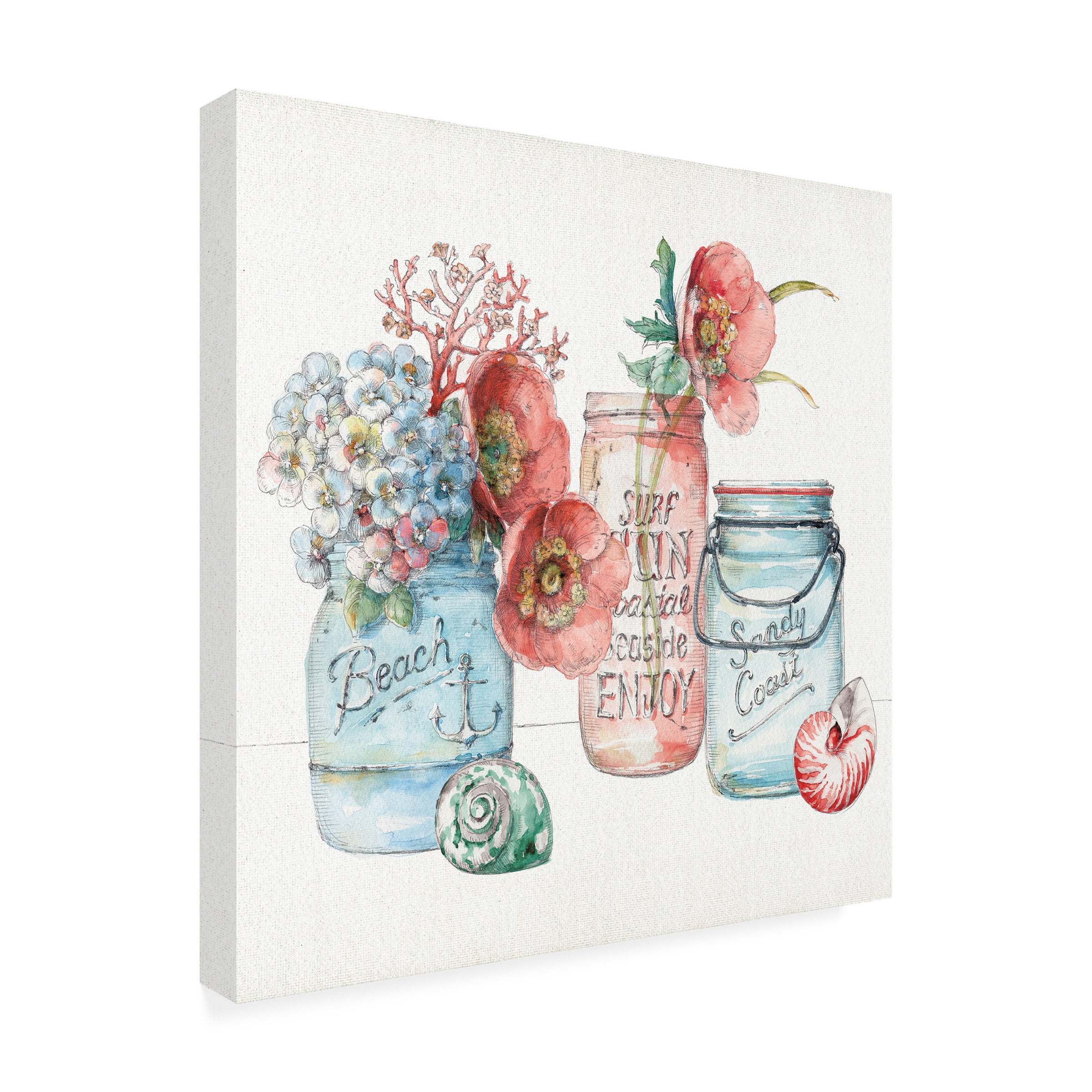 Trademark Fine Art "Sea Finds VII" Canvas Art by Lisa Audit
