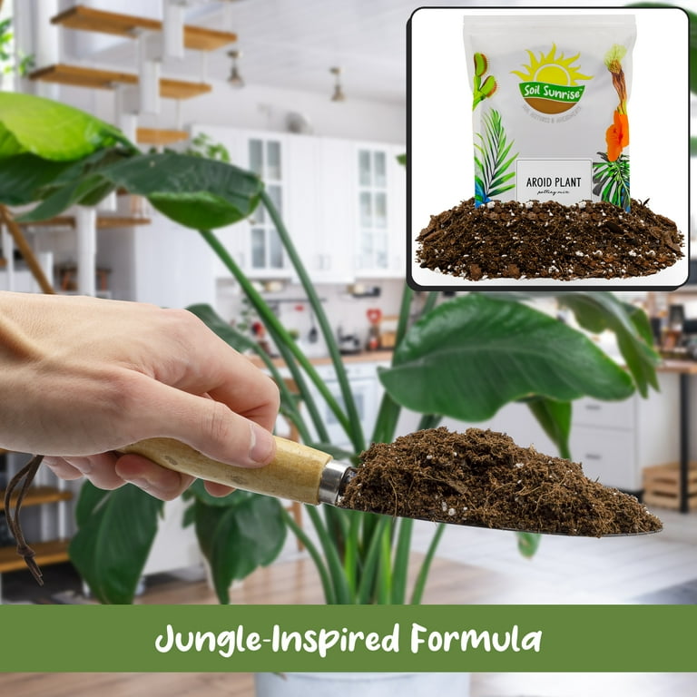 Aroid Plant Potting Soil Mix (8 Quarts), for Pothos Devil's Ivy