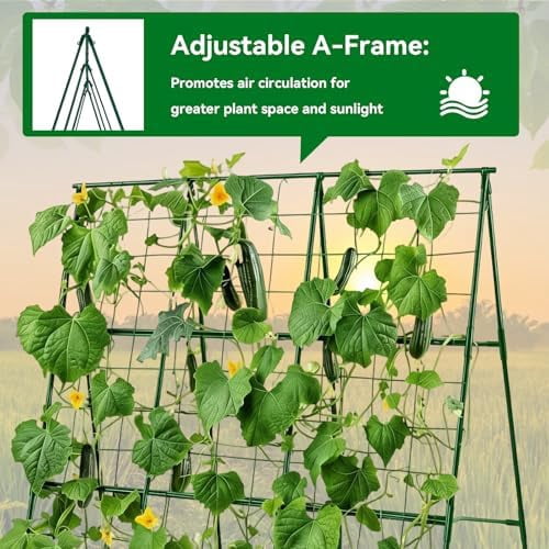 Cucumber Trellis - 49.4"*49.4" Metal Garden Trellis for Climbing Plants, Garden Trellis with Plastic-Coated Steel Pipe, A Frame Trellis for Cucumbers, Peas, Morning Glories(Green)