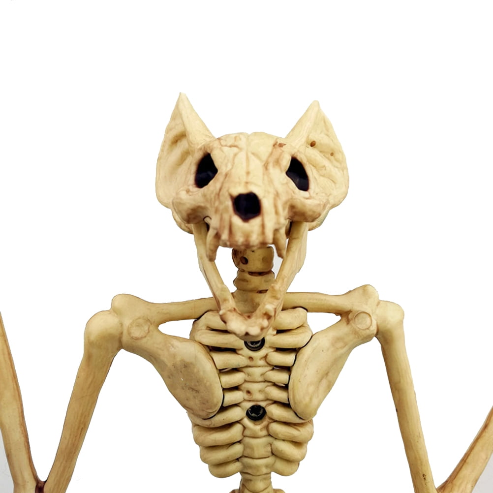 Halloween Animal Skeleton Bones Halloween Party Decoration Animal Skeleton  Bones Animal Skeleton Bones For Halloween Halloween Animal Skeleton Bones  Horror Simulation Skeleton | Walmart Canada