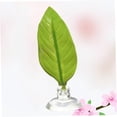 thumbnail image 4 of Houderco Acuario Hoja Artificial Material Ecológico Resistente Y Salada, 4 of 8
