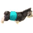 thumbnail image 5 of Pantalones sanitarios fisiológicos para lactancia, pañales para perros machos, 2 unidades, 5 of 5