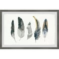 thumbnail image 3 of Parvez Taj Shaded Feathers Framed Wall Art, 3 of 5