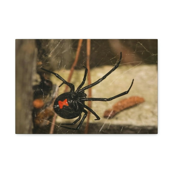Majestic Black Widow Art Majestic Black Widow Hound Print Animal Wall Art Wildlife Canvas Prints Wall Art Ready to Hang Unframed