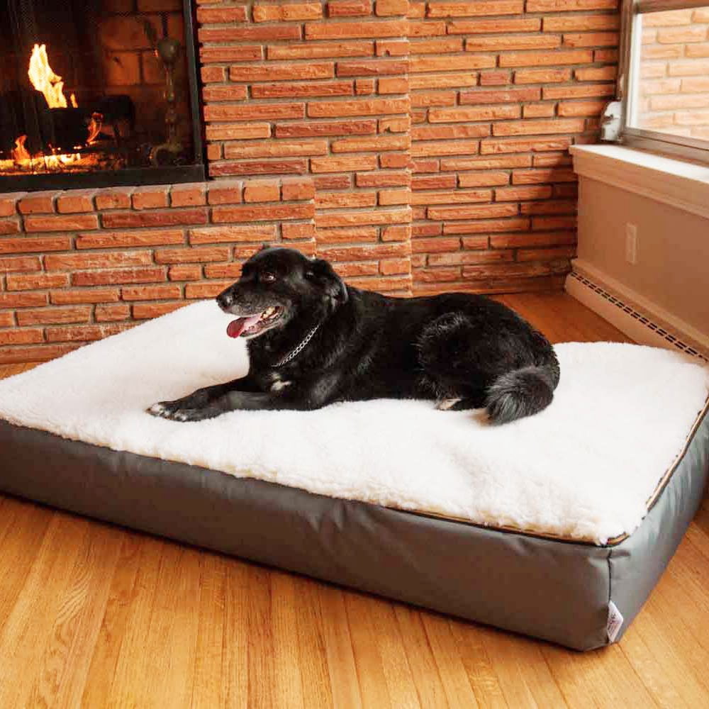 Snoozer Super Orthopedic Lounge Dog Bed