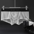 thumbnail image 3 of MYG Sexy Men Briefs Mesh See-through Pouch Boxer Bikini Underwear Soft Breathable, 3 of 8