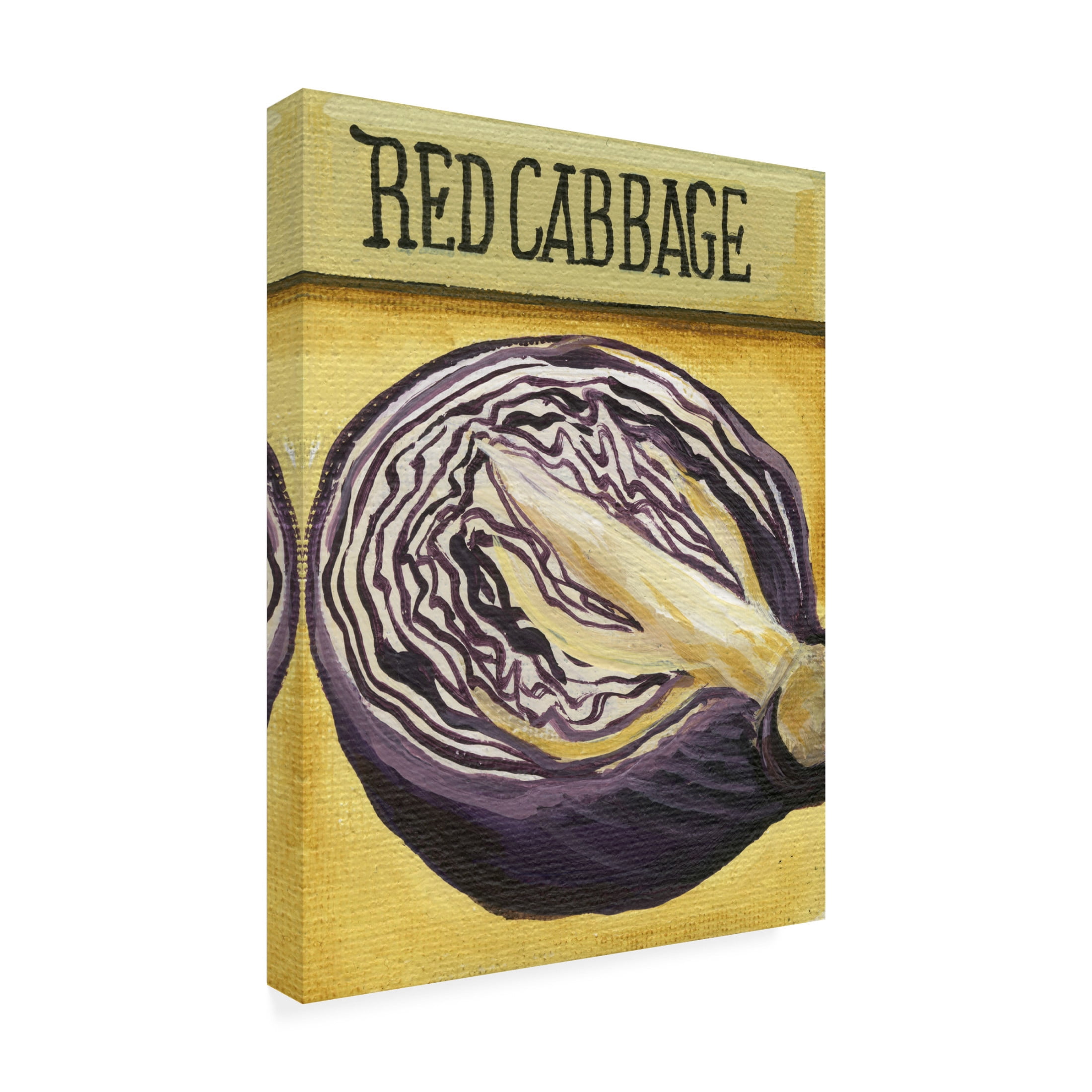 Canvas Wall Art - Debbi Wetzel 'Seed Packets 21 - Red Cabbage' Wall Art for Living Room, Bedroom, or Office Décor by Trademark Fine Art - 35 x 47 Inches