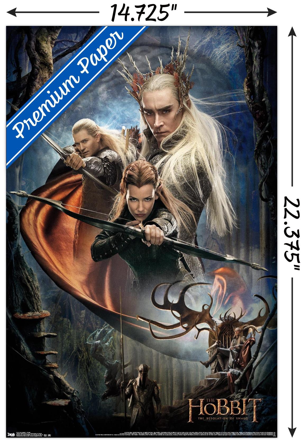 The Hobbit: The Desolation Of Smaug - Group Wall Poster, 14.725" x 22.375"
