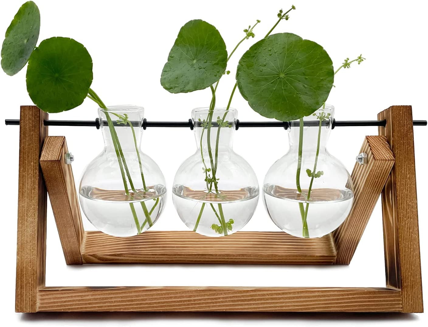 Plant Terrarium with Wooden Stand, Hanging Glass Plant Holder Ornaments