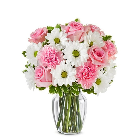From You Flowers - Dreaming in Daisies Bouquet for Birthday, Anniversary, Get Well, Congratulations, Thank You, All Occasions