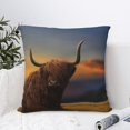 thumbnail image 4 of Pofeuu Yak Print Double-sided plush pillowcase Square Throw Pillow Covers Pillows Cover for Living Room Bedroom Sofa Couch Cushion Cover（No pillow core）-20"x20", 4 of 7