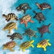 thumbnail image 3 of 12x Simulación Animal Marino Tortuga de Acción del Animales Favores de de Cumpleaños Juguete Educativo, 3 of 8