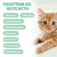 thumbnail image 4 of 3-in-1 Vital Colostrum Gel for Cats, 4 of 6
