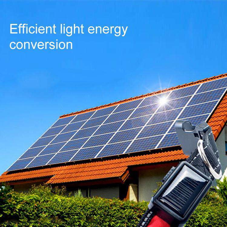 Solar powered dog collar light sale