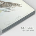 thumbnail image 4 of Little Owl Premium Gallery Wrapped Canvas - Ready to Hang - 18 x 27 Each, 4 of 10