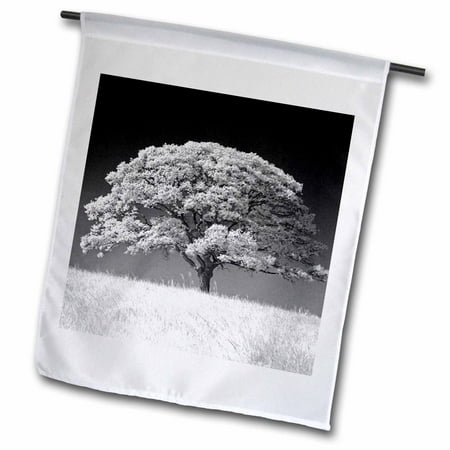 3dRose Large Oak Tree and Grass in B and W - Garden Flag, 12 by