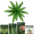 thumbnail image 6 of QDXFX 2Pcs Simulated Plants UV Resistant Artificial Ferns Realistic Greenery No Maintenance Indoor Outdoor Decor,2pcs M, 6 of 7