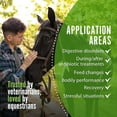 thumbnail image 5 of NutraVital - Biotic for Horses, Must-Have Horse Supplies, Pre- & Probiotic Horse Powder, Horse Supplements for Digestive Health & Immune System Support, Probios for Horses, 750 g, 5 of 7
