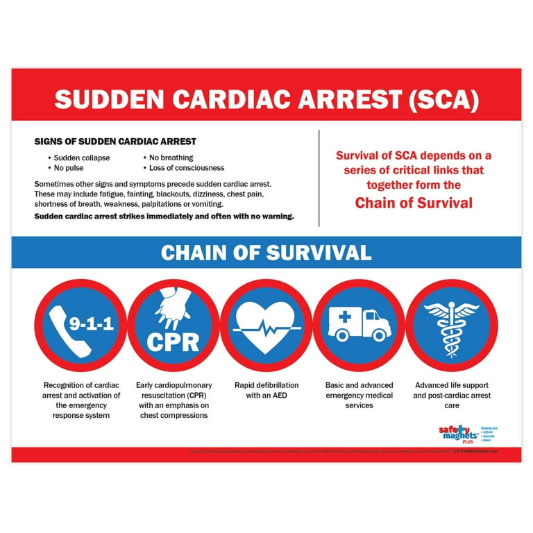 Cardiac arrest 2024 first aid