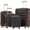 Black, variant on Coolife Luggage Suitcase Spinner Hardshell Lightweight TSA Lock (family set-sakura pink, 4 piece set(16in20in24in28in))