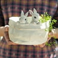 thumbnail image 2 of Cactus Suculento Succulenta, 2 of 9