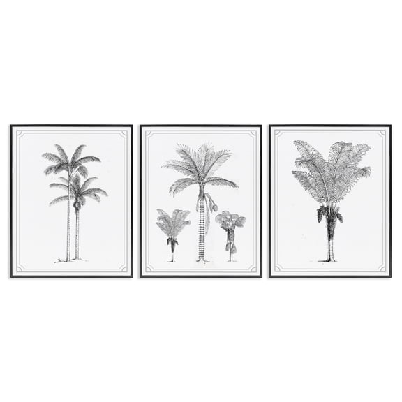 Minimal Vintage Palm Tree Sketches 3 Piece Black Framed Giclee Art Set, design by Lettered and Lined