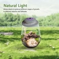 thumbnail image 3 of Lámpara LED Cultivo Micropaisaje Con Musgo Y Helecho Temporizador, 3 of 9