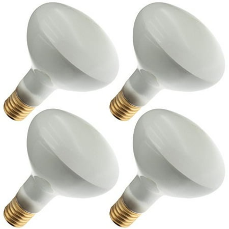 

Industrial Performance 300R40/3FL 250V 300 Watt R40 Mogul Screw (E39) Base Light Bulb (4 Bulbs)