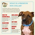 thumbnail image 3 of Country Brook Petz® Premium Blue Bone Camo Dog Collar, Small, 3 of 6