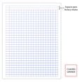 thumbnail image 3 of Cuaderno Cosido Profesional Ferrini C7 100 Hojas Pack 4 Colores Primarios, 3 of 9