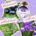 thumbnail image 4 of Perfume Tocca Maya Eau de Parfum 100 ml para mujer, 4 of 4