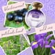 thumbnail image 4 of Perfume Tocca Maya Eau de Parfum 100 ml para mujer, 4 of 4