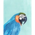 thumbnail image 3 of Warren, Annie 12x14 Black Modern Framed Museum Art Print Titled - Exotic Bird on Blue I, 3 of 5
