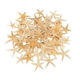 thumbnail image 2 of Conchas De Estrella De Mar Naturales, Exhibición De Boda, Decoración Artesanal Para Acuario, 1-5cm, 100 Uds. SM SunniMix artesanías conchas marinas, 2 of 8