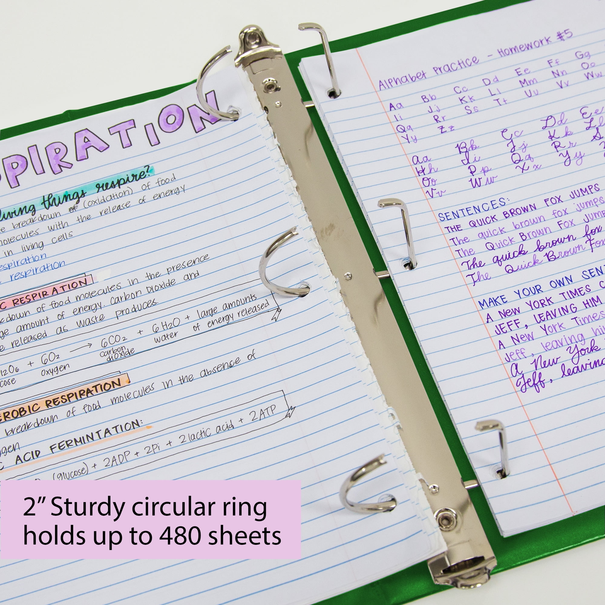 BAZIC 3 Ring Binder 2" View Binders Slant D Ring Green, Hold 500 Sheets, 2-Count