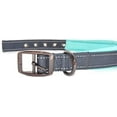 thumbnail image 3 of Black Rhino - The Comfort Collar Ultra Soft Neoprene Padded Dog Collar for All Breeds - Heavy Duty Adjustable Reflective Weatherproof (Large, Aqua/Grey), 3 of 7