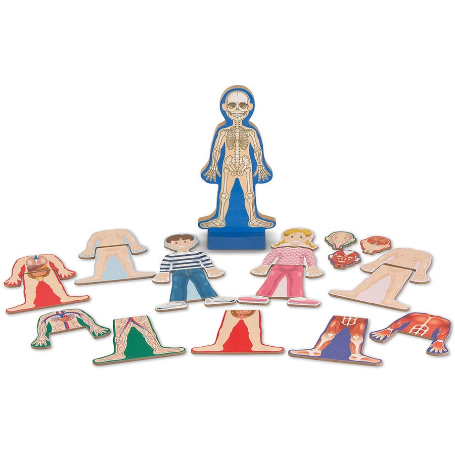 melissa and doug human anatomy