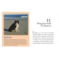 thumbnail image 6 of I Will See You in Heaven (Dog Lover's Edition), (Hardcover), 6 of 6