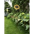 thumbnail image 3 of Metal Sunflower Stake Large Flower Decor for Outdoor Patio Garden, 3 of 8