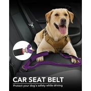 WAAYEEPAL Tactical Heavy-Duty Bungee Dog Leash with 2 Padded Handles and Car Seatbelt, 4-6 ft, Purple
