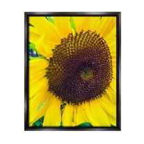 Stupell Industries Close Up Yellow Sunflower Florets Botanical Nature Photograph Jet Black Floating Framed Canvas Print Wall Art, Design by Heidi Bannon