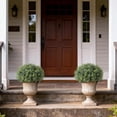 thumbnail image 6 of 2 Sets Artificial Rosemary Topiary Ball Trees for Front Door -  Faux Outdoor Greenery Potted Plants, 6 of 8